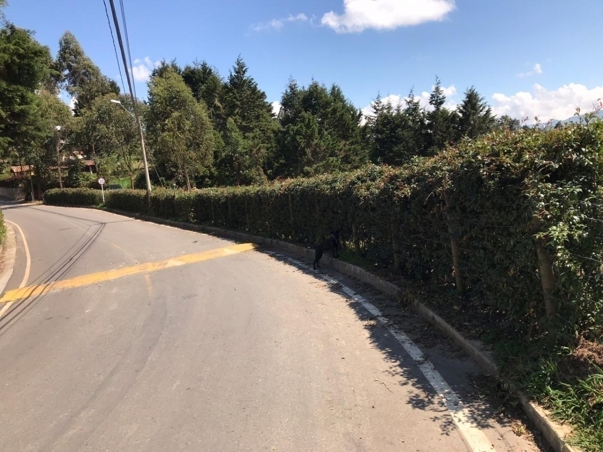 #1962 - Lote para Venta en Rionegro - ANT
