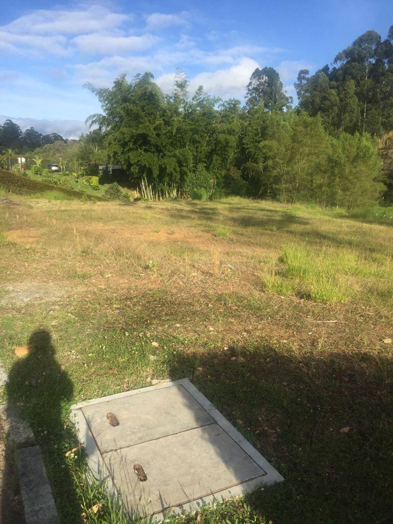 #1977 - Lote para Venta en Carmen de Viboral - ANT