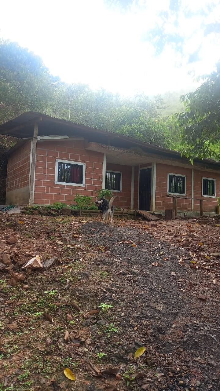 #2290 - Finca para Venta en San Luis - ANT