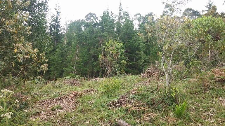 #2295 - Lote para Venta en Rionegro - ANT