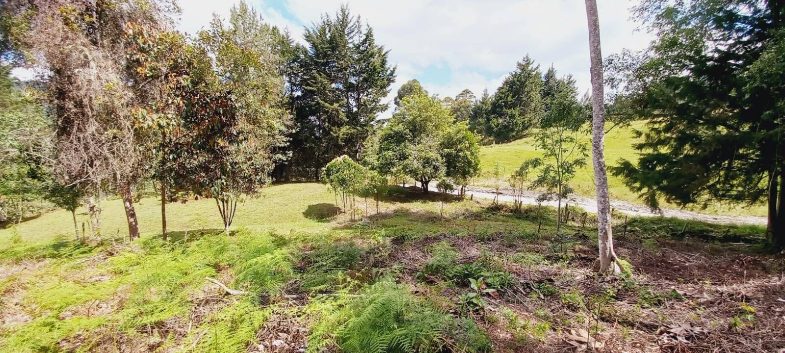 #2310 - Lote para Venta en Rionegro - ANT