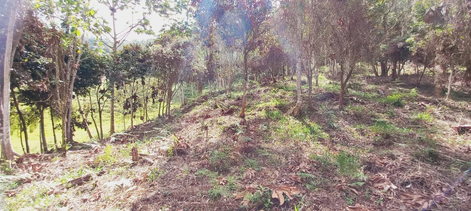 #2311 - Lote para Venta en Rionegro - ANT