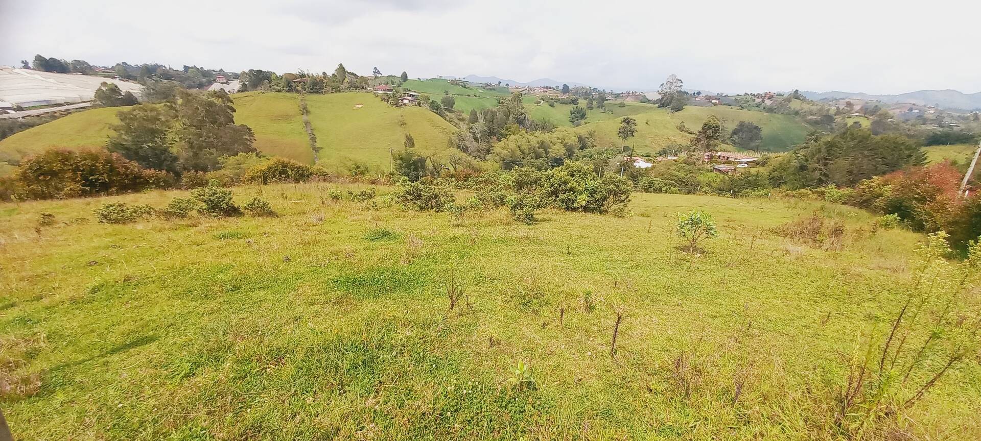 #2313 - Lote para Venta en Carmen de Viboral - ANT