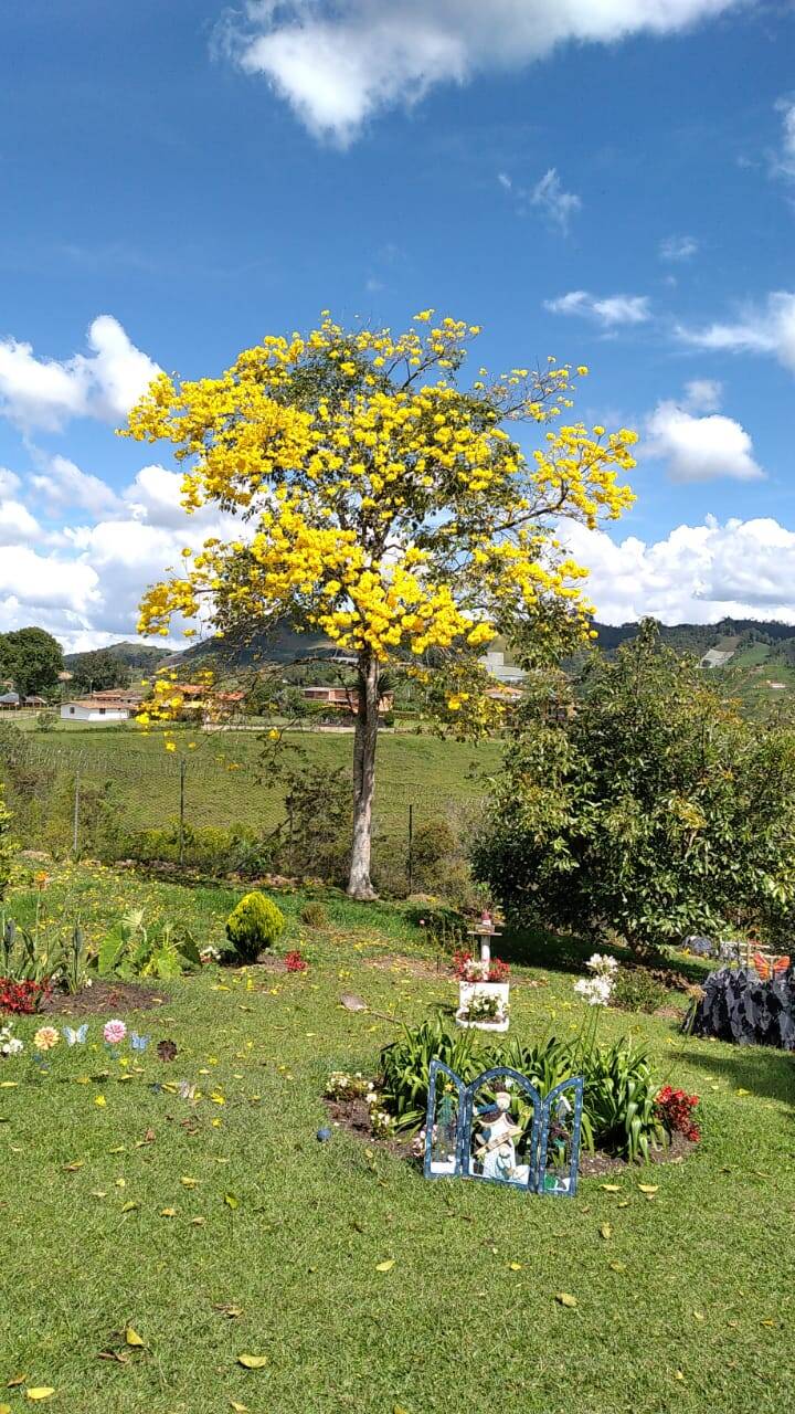 #2427 - Finca para Venta en San Vicente - ANT