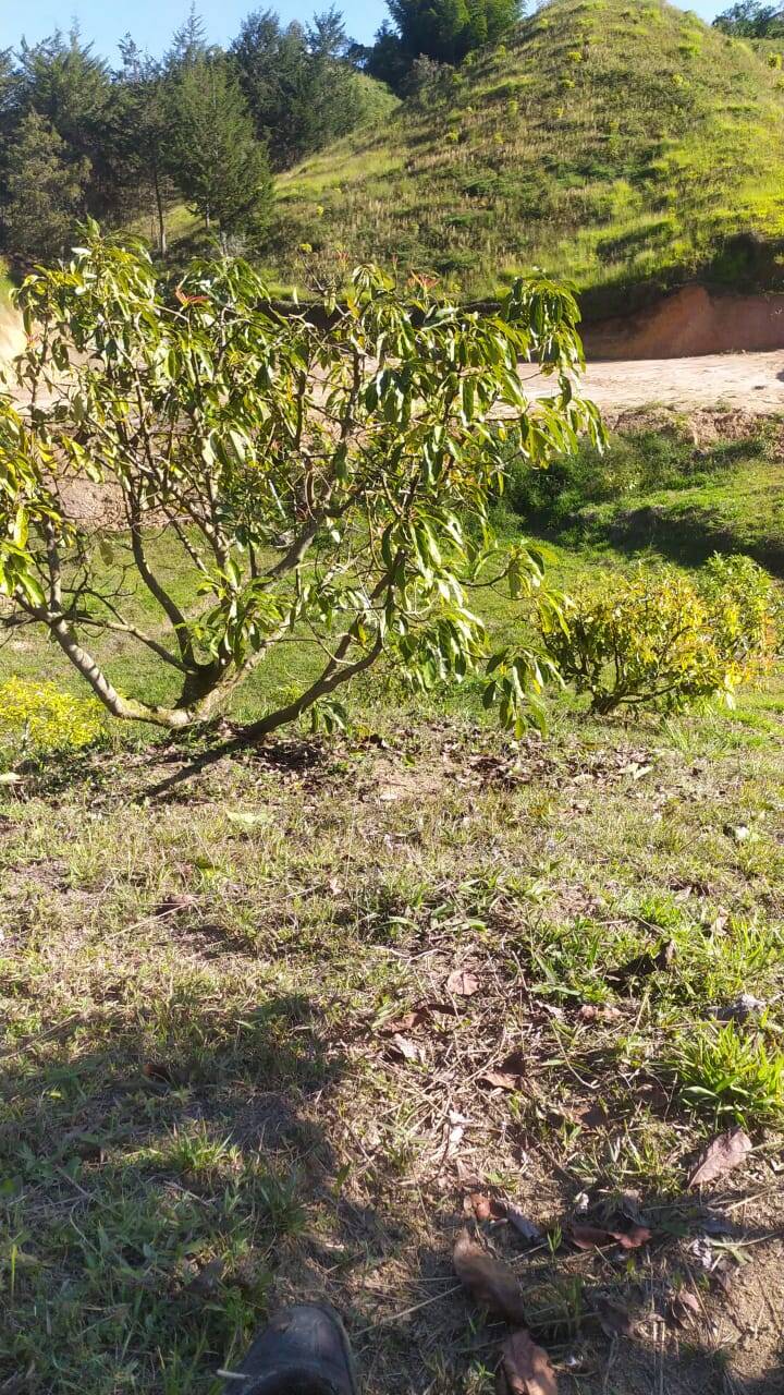 #2429 - Lote para Venta en Rionegro - ANT