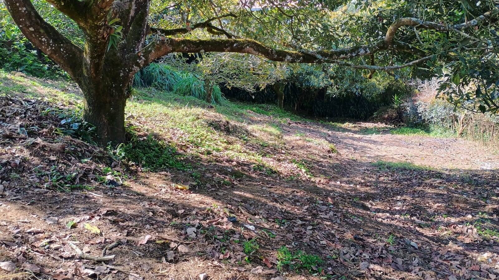 #2430 - Lote para Venta en La Ceja - ANT