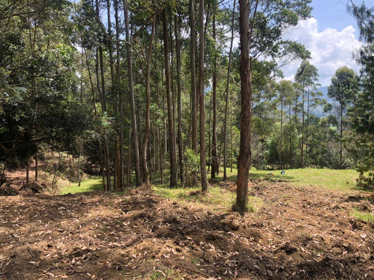 #2463 - Lote para Venta en Rionegro - ANT