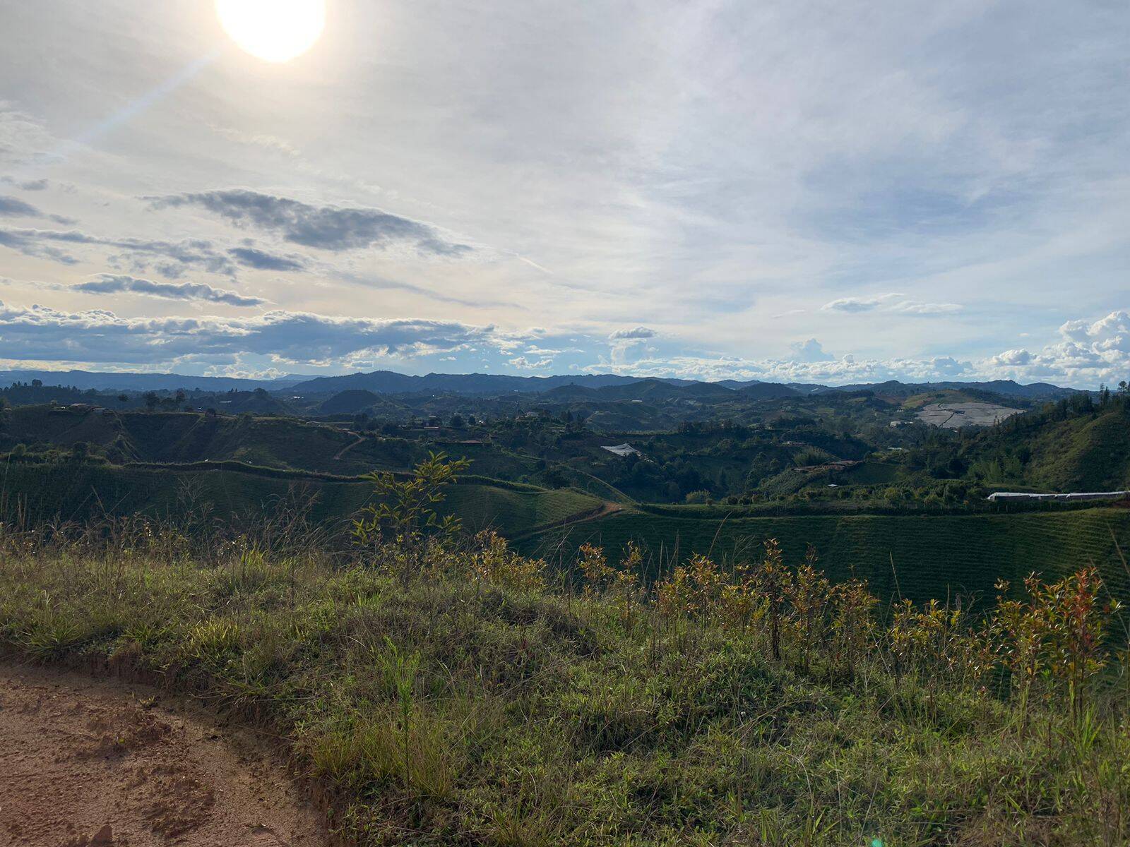 #2471 - Lote para Venta en Marinilla - ANT