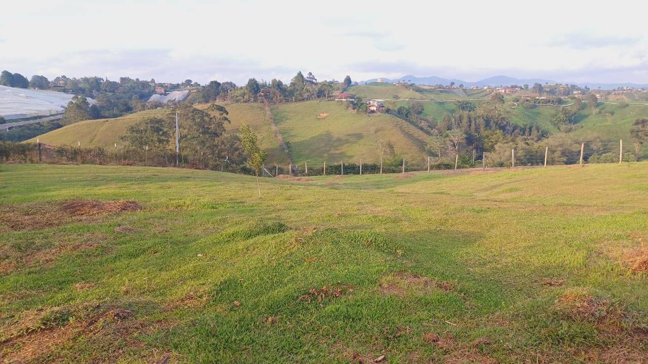 #2253 - Lote para Venta en Carmen de Viboral - ANT