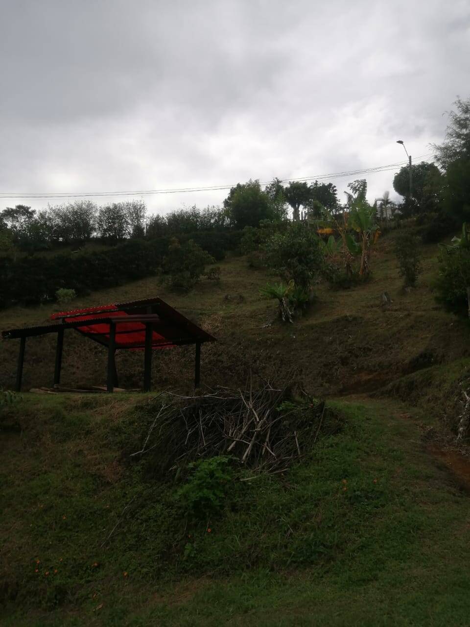 #2501 - Lote para Venta en Rionegro - ANT