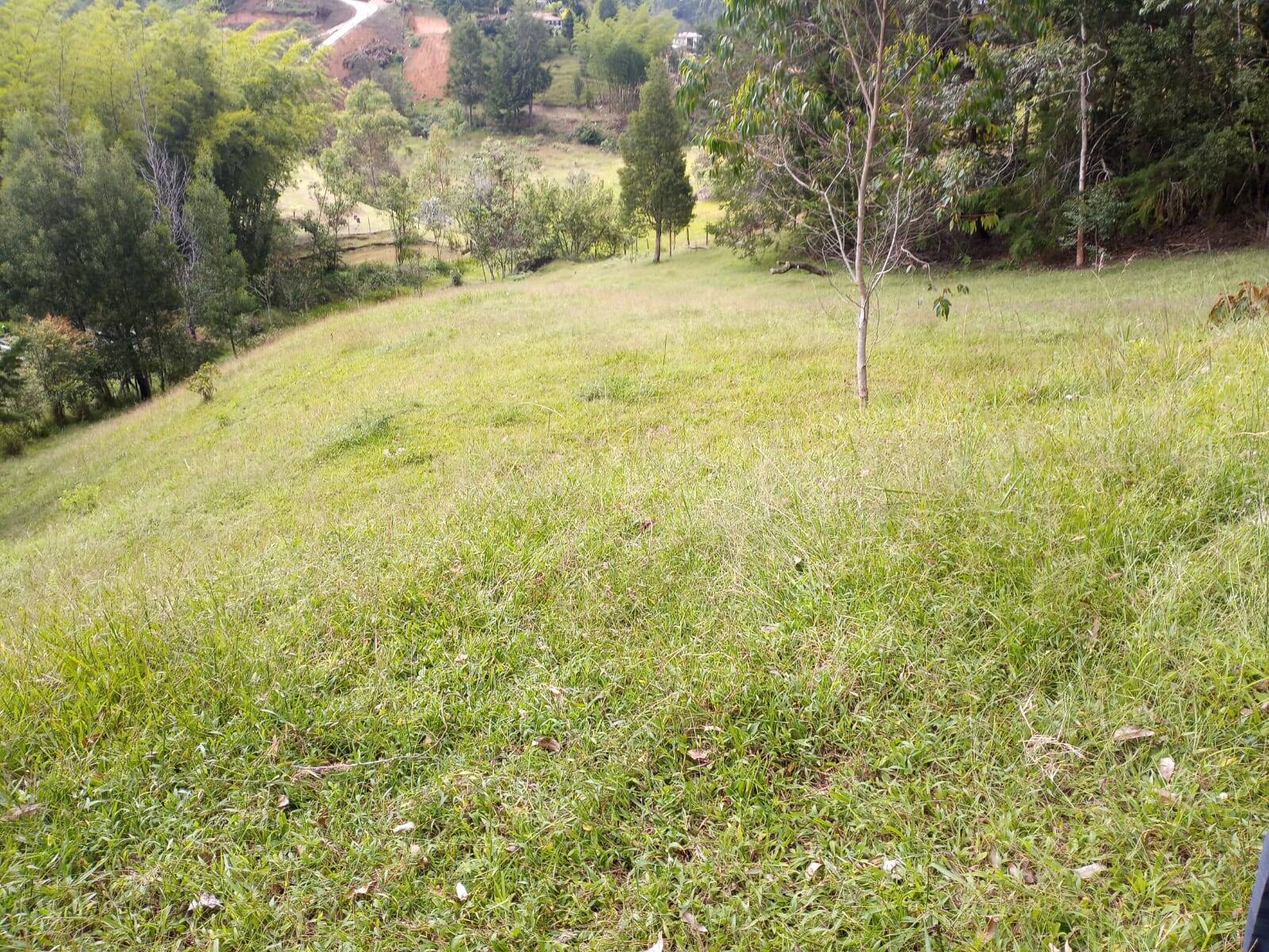 #2506 - Lote para Venta en Rionegro - ANT