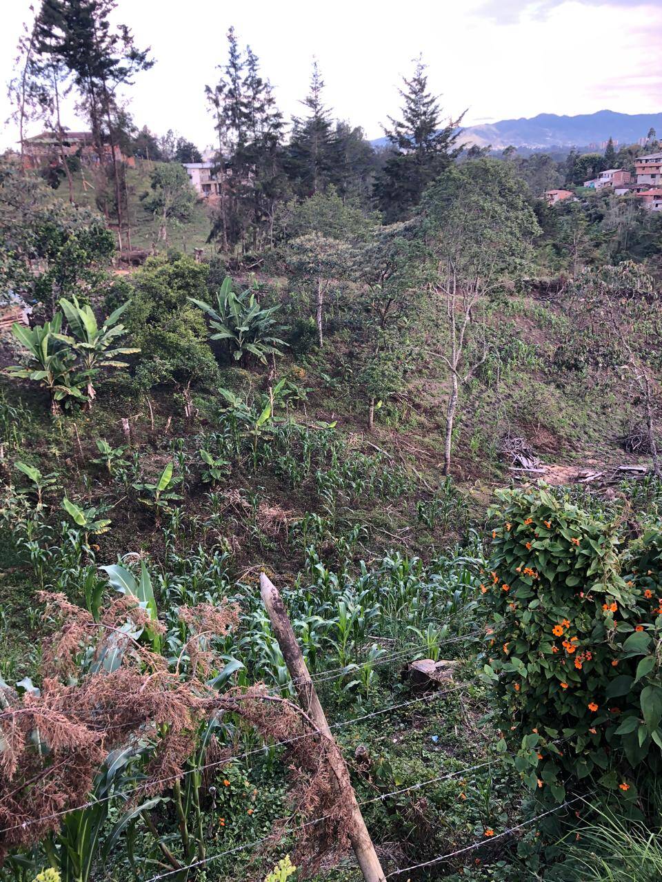 #2572 - Lote para Venta en Rionegro - ANT