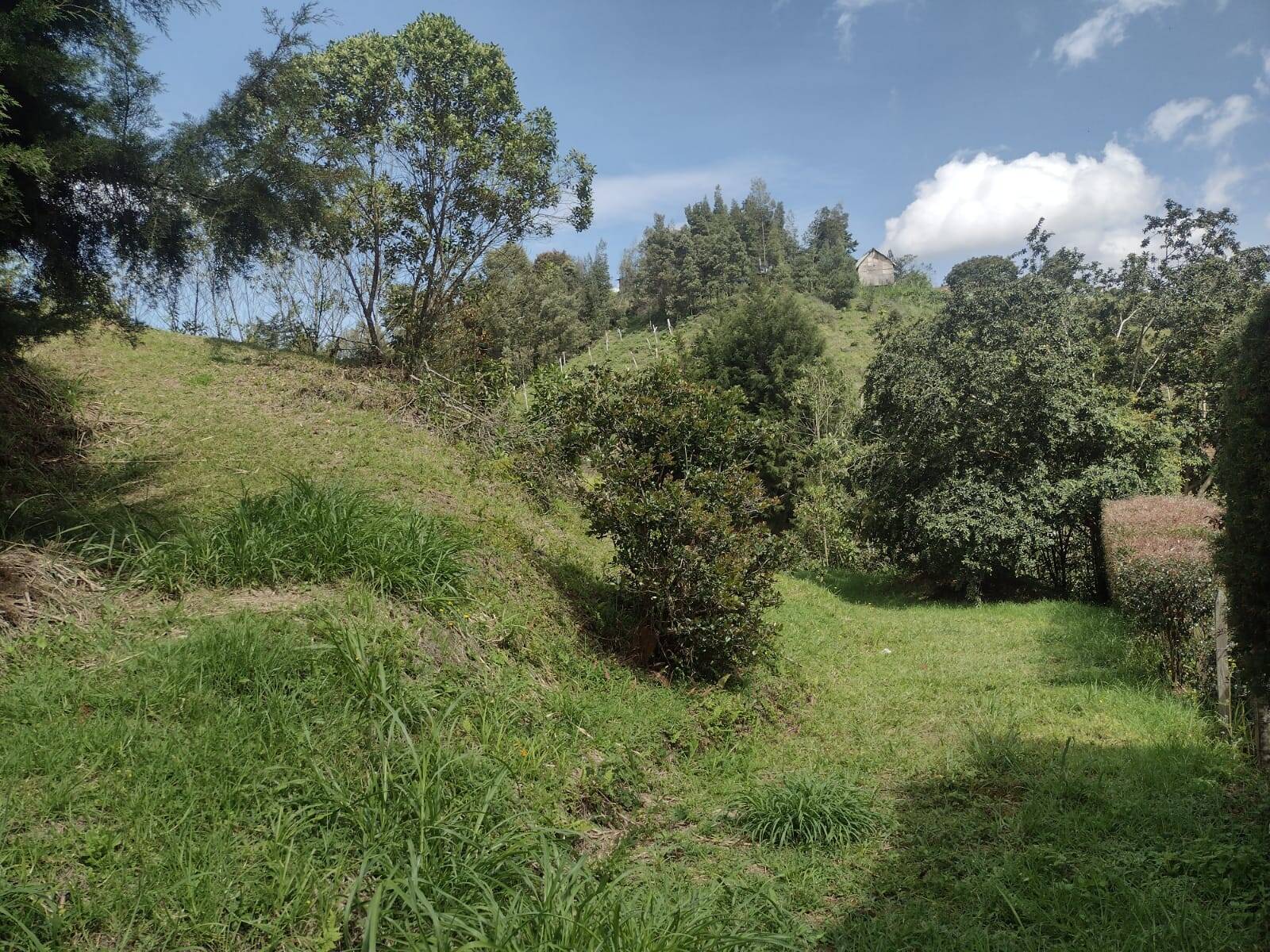 #2592 - Lote para Venta en Rionegro - ANT