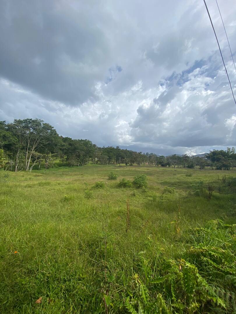 #2600 - Lote para Venta en Rionegro - ANT