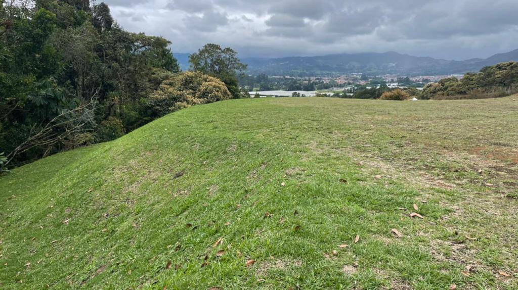 #2658 - Lote para Venta en La Ceja - ANT