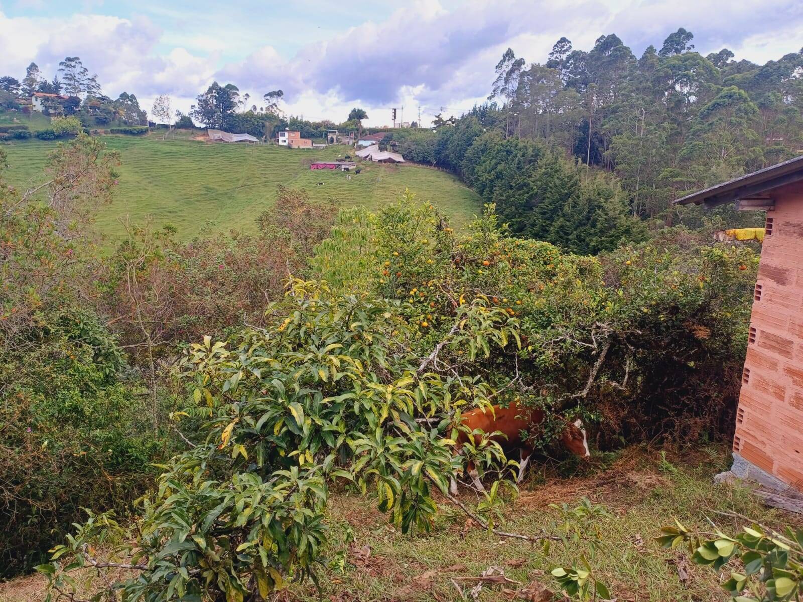 #2676 - Casa para Venta en Rionegro - ANT