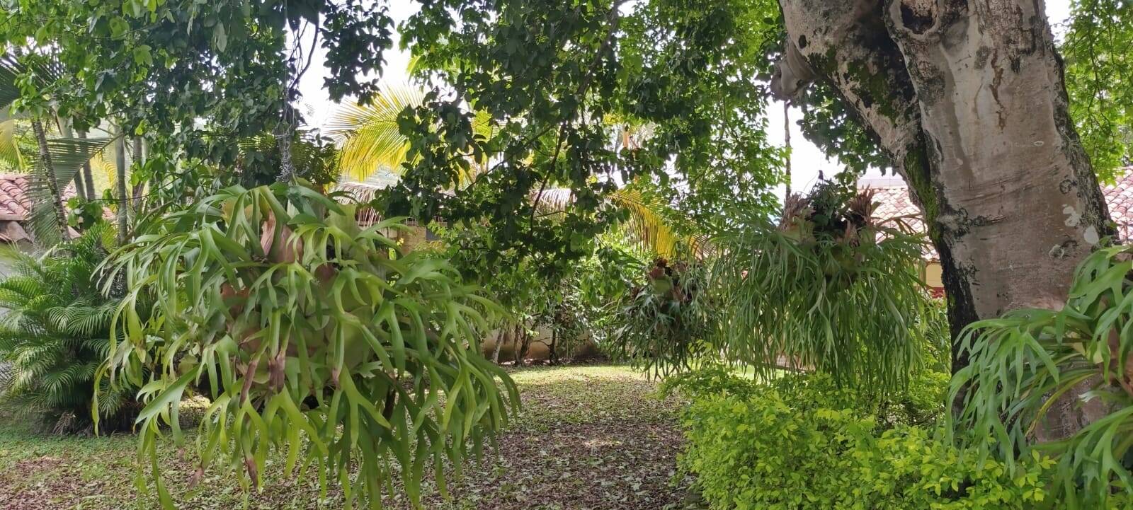 #2678 - Casa para Venta en San Jerónimo - ANT
