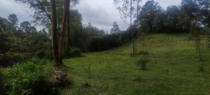 #2700 - Isla para Venta en Rionegro - ANT