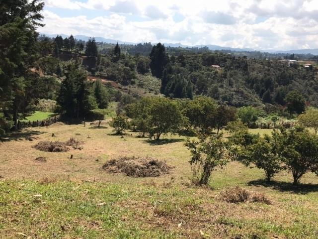 #1962 - Lote para Venta en Rionegro - ANT
