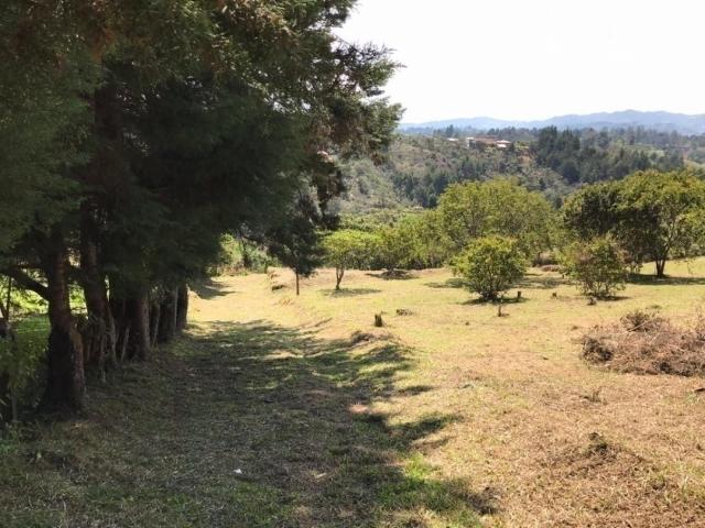 Lote para Venta en Rionegro - 4