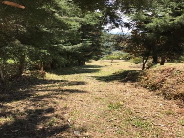 Lote para Venta en Rionegro - 5
