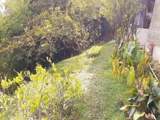 Finca para Venta en Rionegro - 5