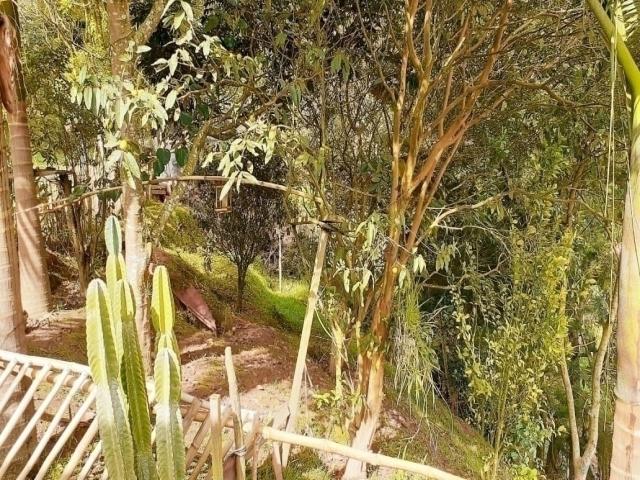 Finca para Venta en Rionegro - 4