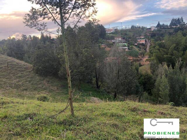 #2126 - Lote para Venta en Rionegro - ANT - 2