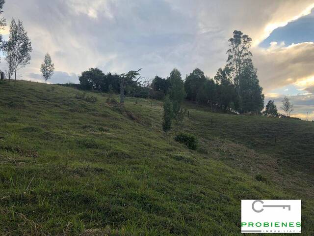 #2126 - Lote para Venta en Rionegro - ANT - 3