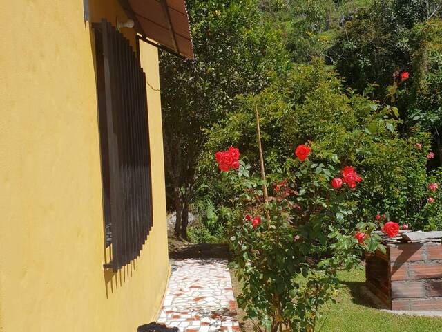 Finca para Venta en Carmen de Viboral - 5