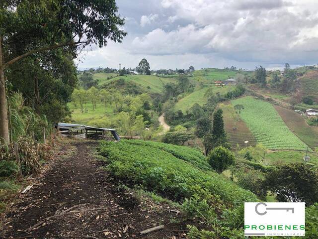 Finca para Venta en Carmen de Viboral - 4
