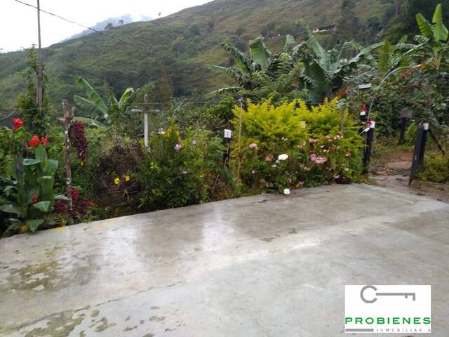 Finca para Venta en Cisneros - 3