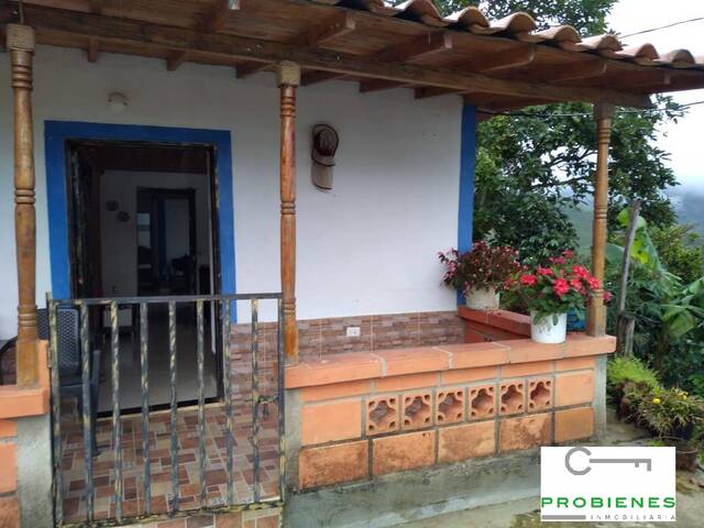 Finca para Venta en Cisneros - 2