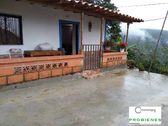 #2175 - Finca para Venta en Cisneros - ANT - 1