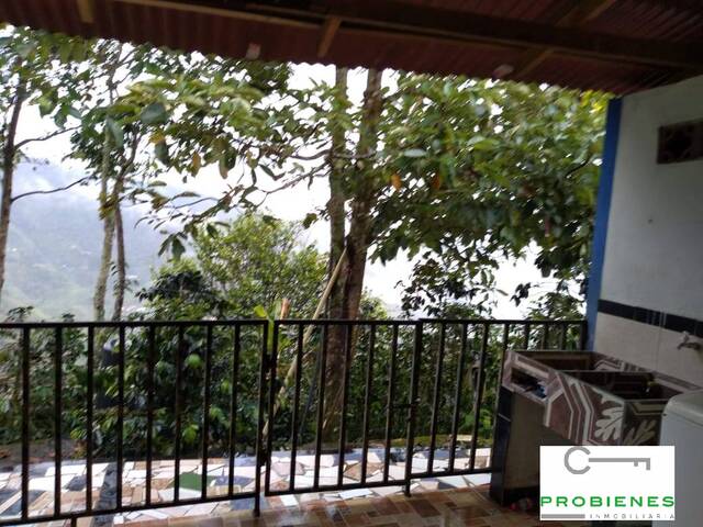 Finca para Venta en Cisneros - 4