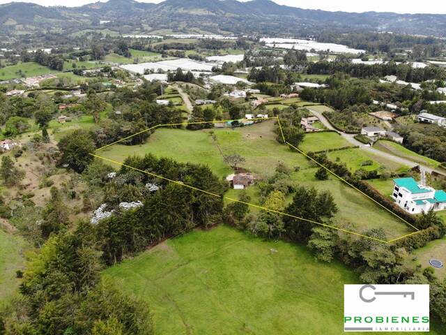 Lote para Venta en La Ceja - 4