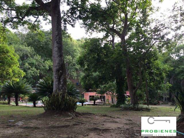 Finca para Venta en San Jerónimo - 5