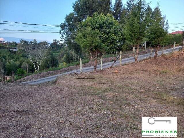 #2214 - Lote para Venta en Rionegro - ANT