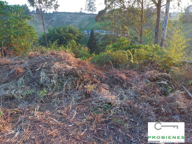 Lote para Venta en Rionegro - 4