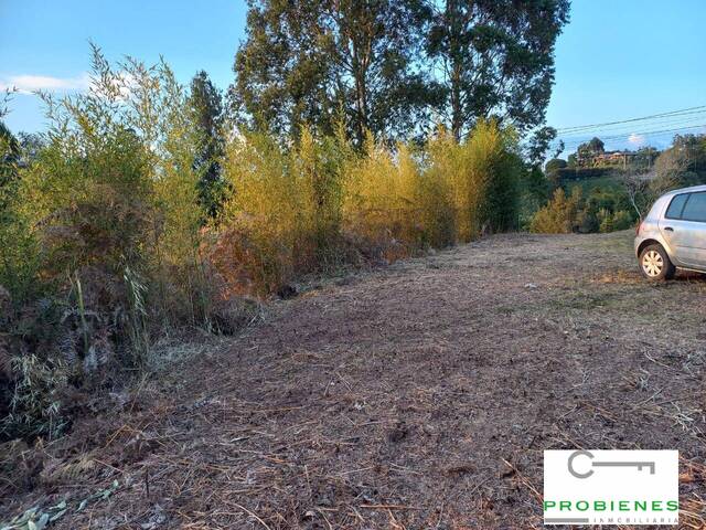 Lote para Venta en Rionegro - 5
