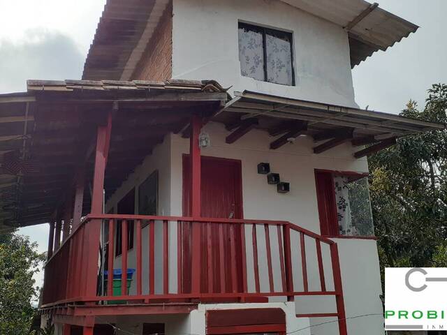 Finca para Venta en Rionegro - 5