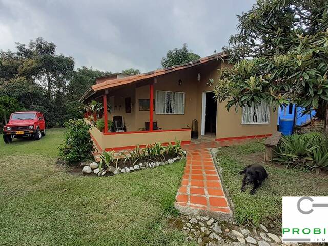 #2233 - Finca para Venta en Rionegro - ANT