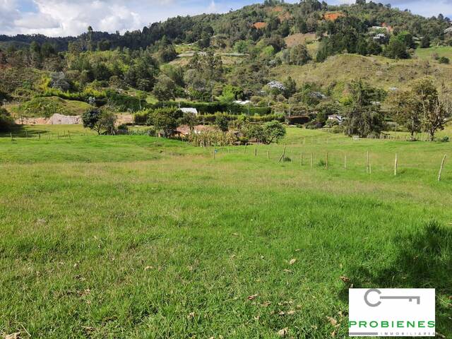 #2251 - Casa para Venta en Rionegro - ANT - 3