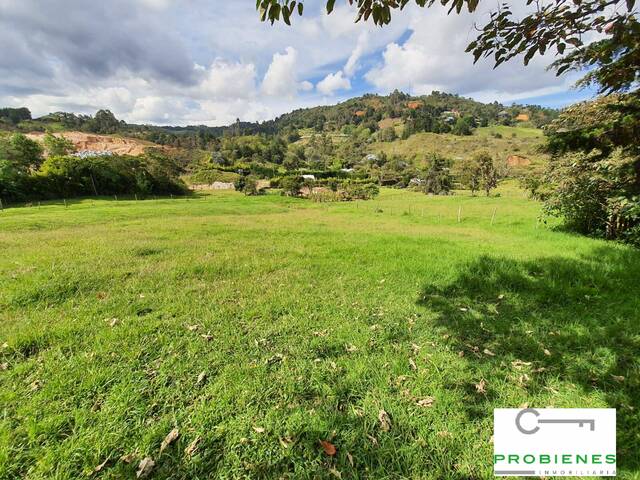 Casa para Venta en Rionegro - 4