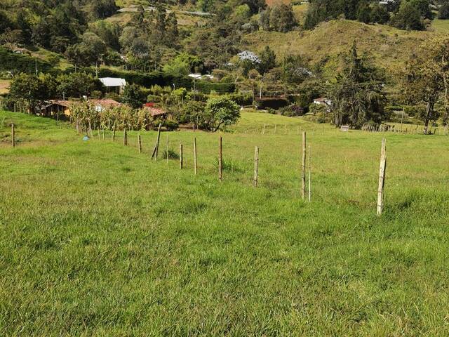 Casa para Venta en Rionegro - 5