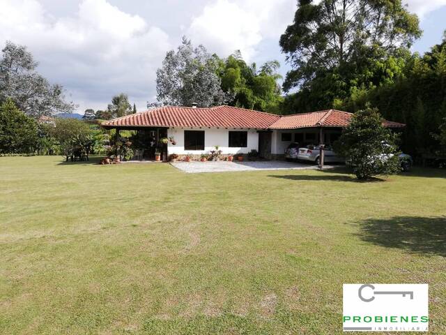 Venta en VEREDA PONTEVEDRA - Rionegro