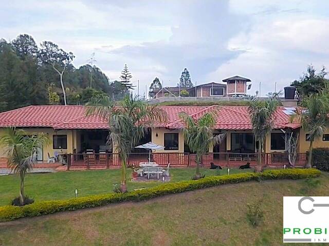 Finca para Venta en San Vicente - 5