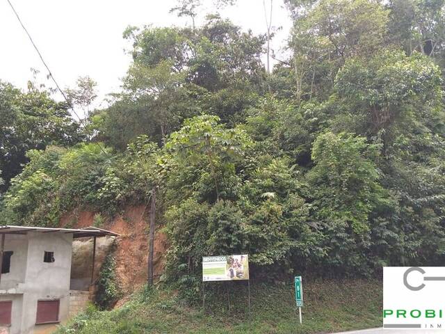 Finca para Venta en San Luis - 4