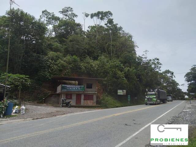 Finca para Venta en San Luis - 5