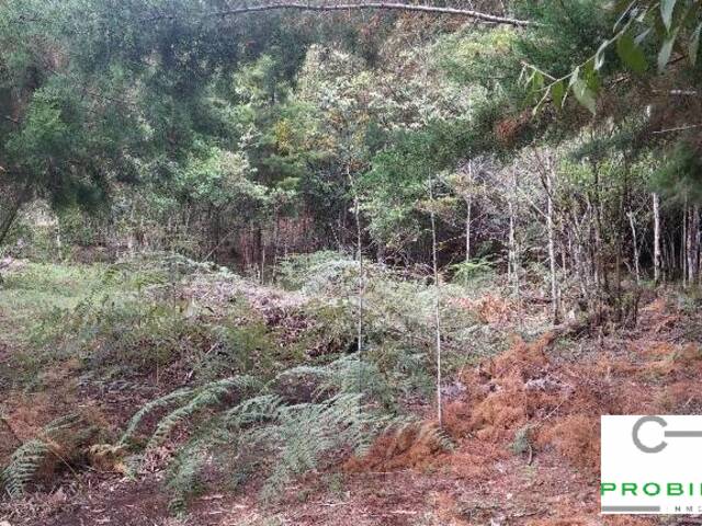 #2295 - Lote para Venta en Rionegro - ANT - 2